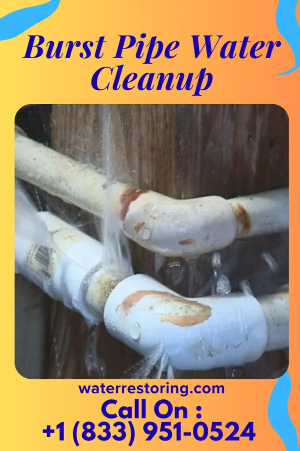 Burst Pipe Water Cleanup in Louisburg, NC