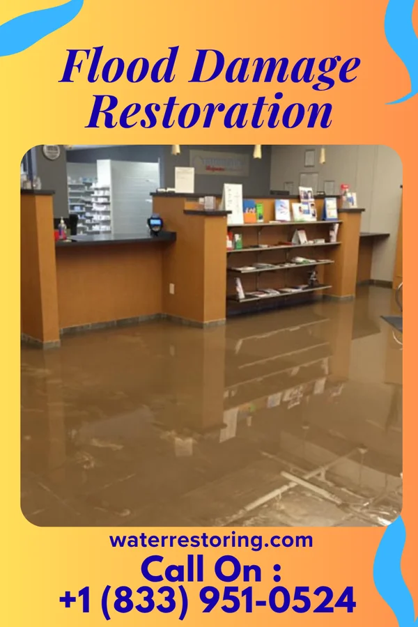 Flood Damage Restoration in Louisburg, NC