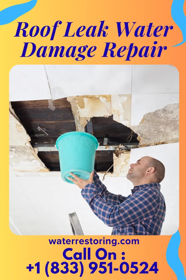 Roof Leak Water Damage Repair in Louisburg, NC